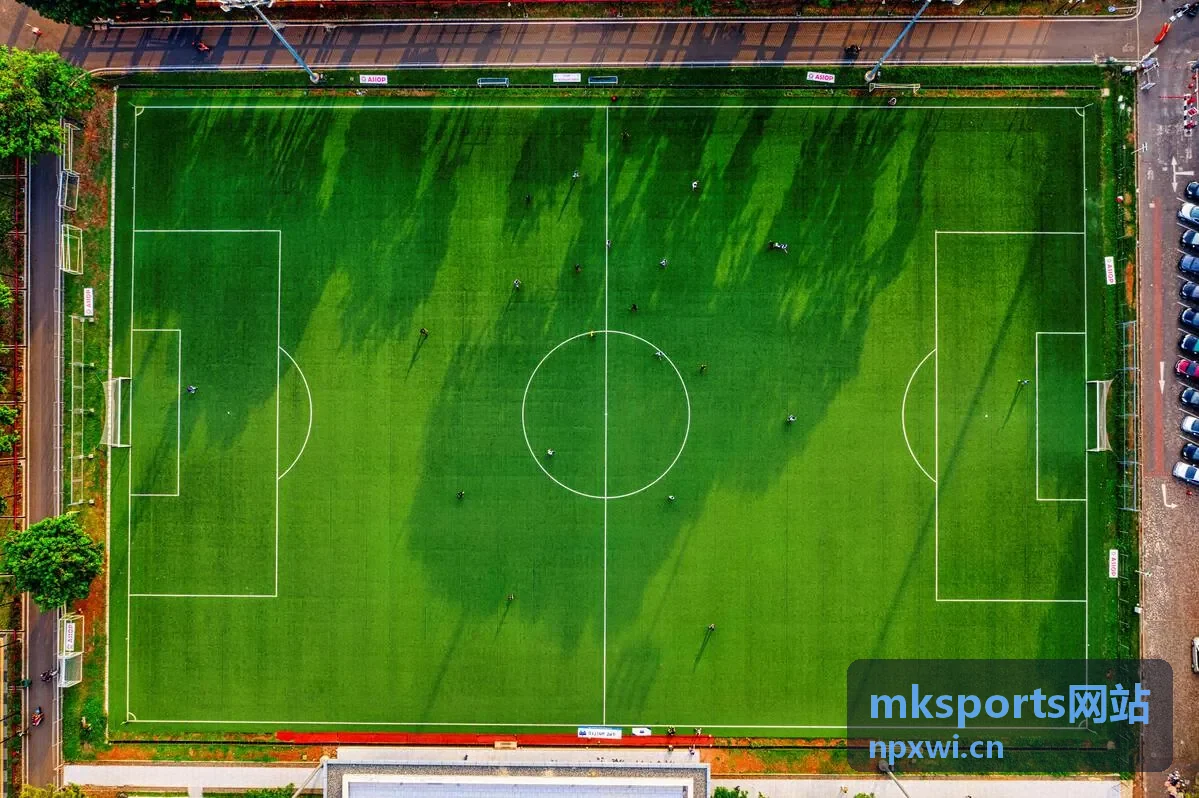 mksports网站 弹力带套装 居家训练器材