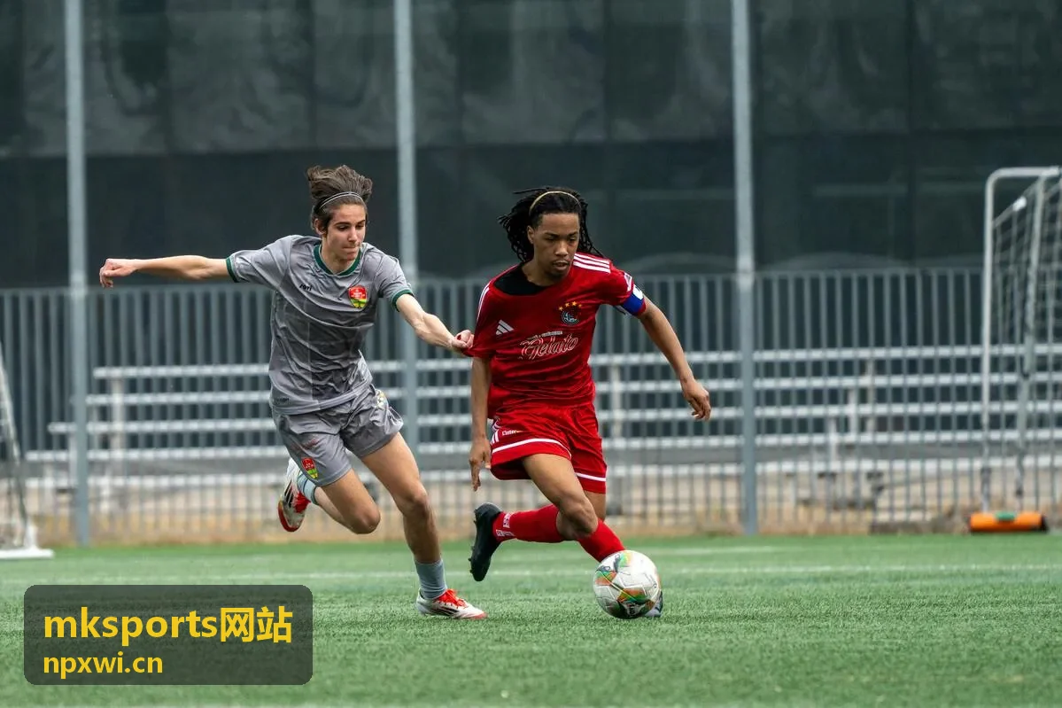 mksports网站 悬挂训练带 健身训练器材