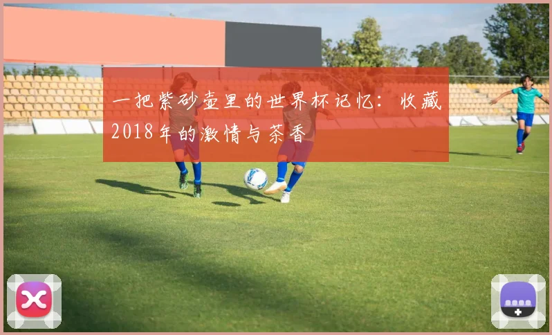 一把紫砂壶里的世界杯记忆：收藏2018年的激情与茶香