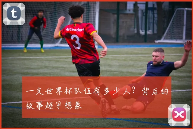 一支世界杯队伍有多少人?背后的故事超乎想象