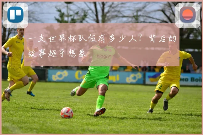 一支世界杯队伍有多少人?背后的故事超乎想象
