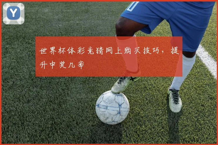 世界杯体彩竞猜网上购买技巧,提升中奖几率