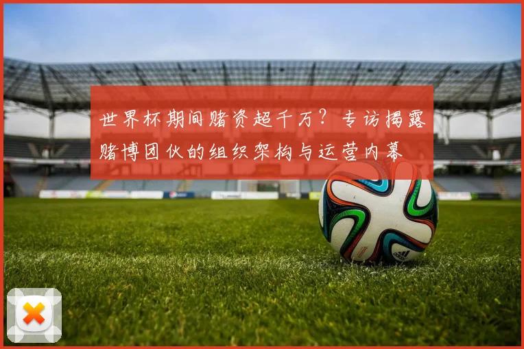 世界杯期间赌资超千万?专访揭露赌博团伙的组织架构与运营内幕