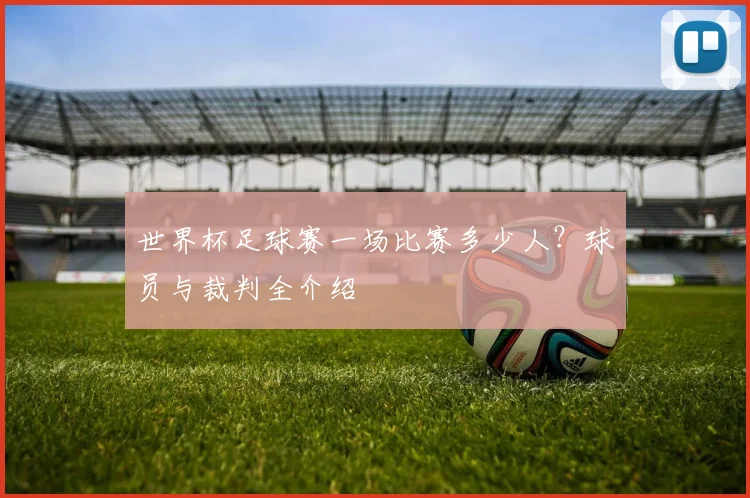 世界杯足球赛一场比赛多少人？球员与裁判全介绍